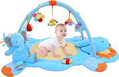 Baby Gyms